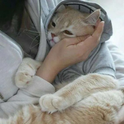 高本宣弘 - 猪蜜蜜电视剧大全在线观看11 - 客户端观看
